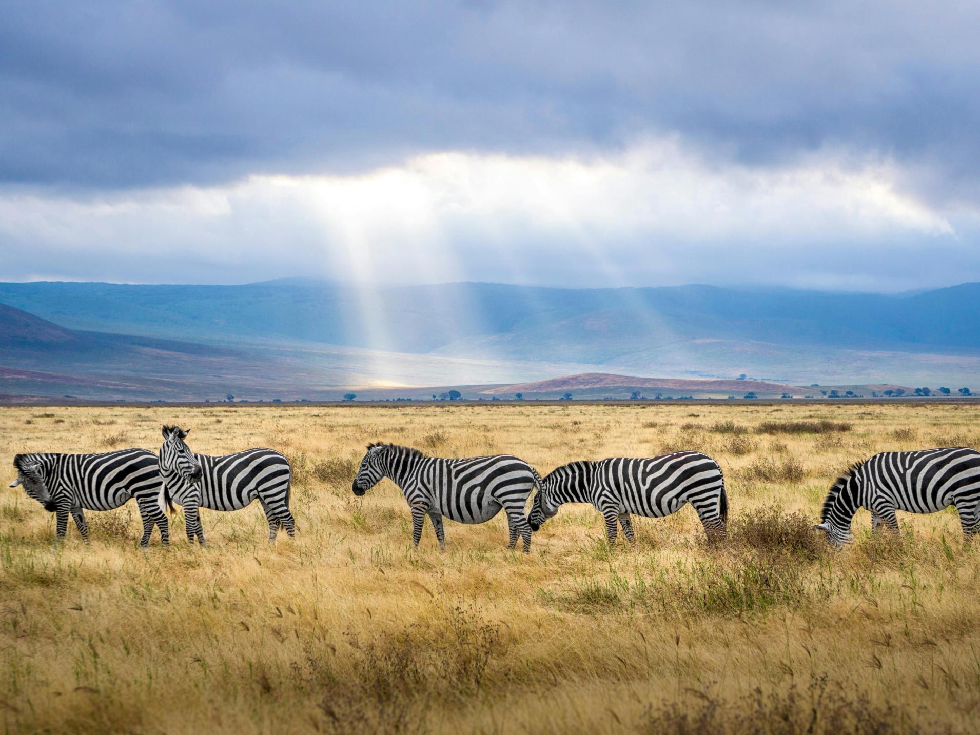 Tanzanie