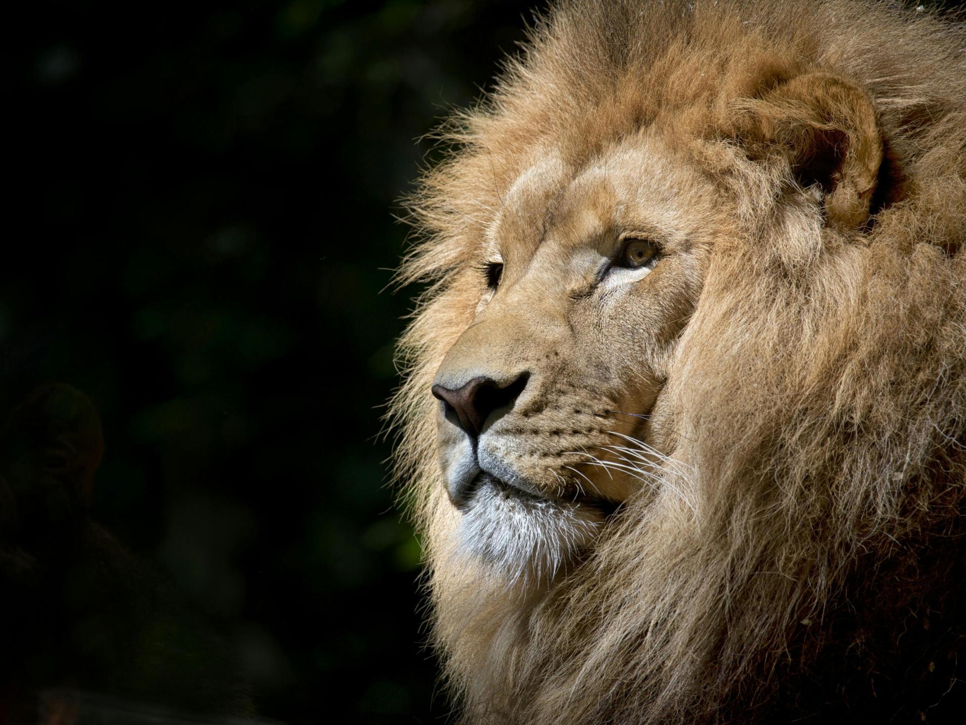 Afrique